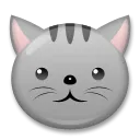 猫脸