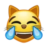 喜びの涙で猫の顔