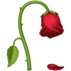 しおれた花