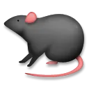 鼠