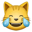 喜びの涙で猫の顔
