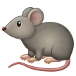 鼠
