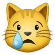 Crying Cat