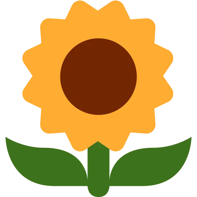 Ayçiçeği