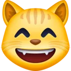 笑嘻嘻的貓